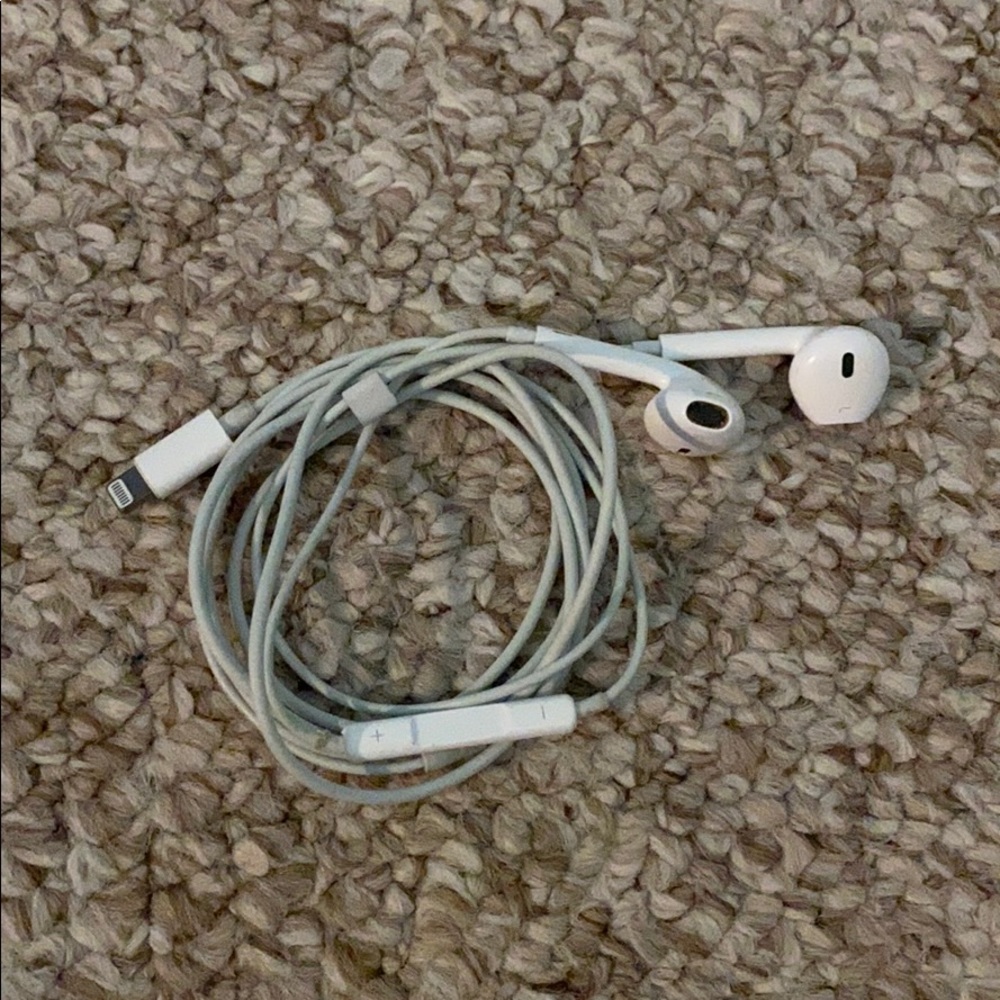 Apple Headphones